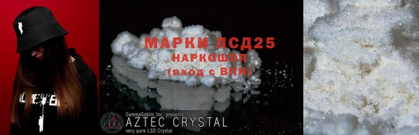 стаф Аркадак