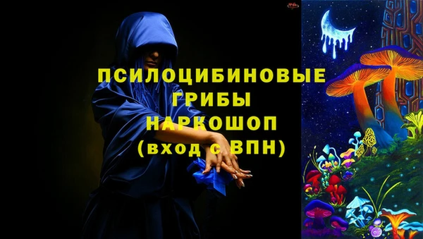 стаф Аркадак