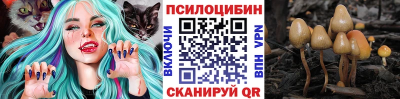 Купить где  Меленки  Галлюциногенные грибы Magic Shrooms 